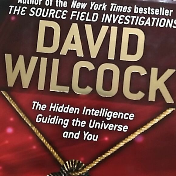 The Synchronicity Key hardcover book David Wilcox - Picture 12 of 12